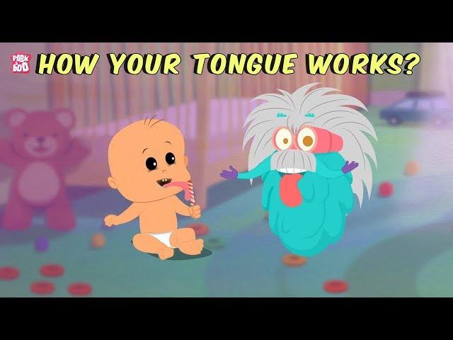 How Your Tongue Works? - The Dr. Binocs Show | Best Learning Videos For Kids | Peekaboo Kidz