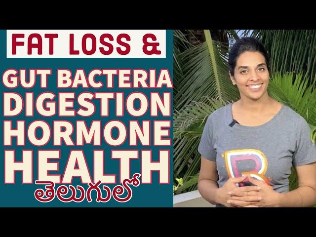 Fat Loss | Gut- Bacteria | Digestion