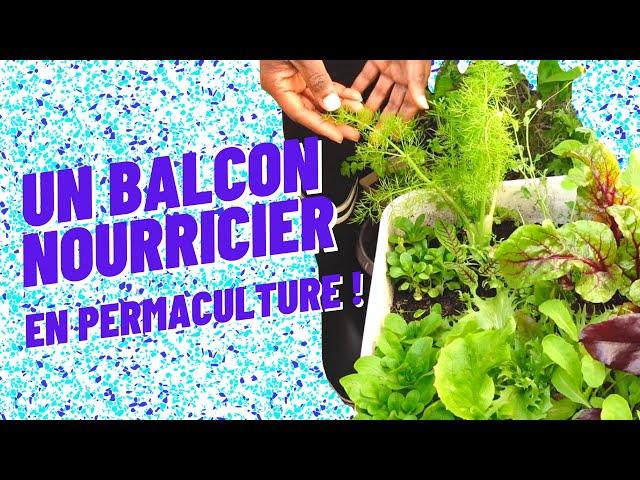 Un balcon nourricier en permaculture (quand on n'y connaît queud)