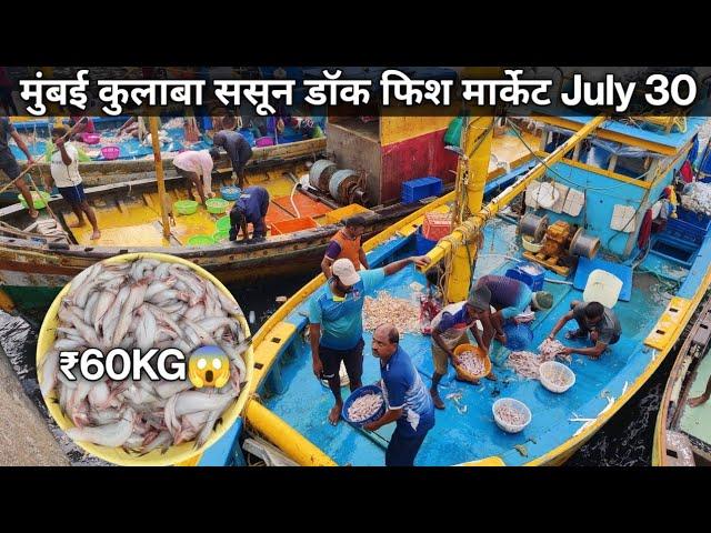 Sassoon Dock Fish Market Mumbai | Mumbai Sassoon Dock Colaba | Colaba Sassoon Dock Fish Market