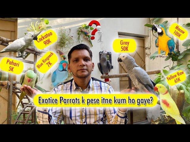 Pet Lovers K sath Dhoke hone lage | Paise le kar Bhag gaye | SCAM  | PBI Official