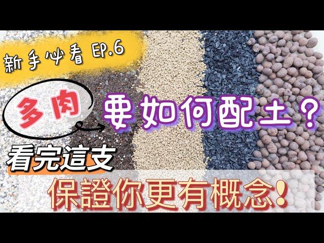 【新手必看】EP.6 多肉要如何配土? 看完保證你更有概念｜A&Y｜Tips Of Soil Mix For Succulent