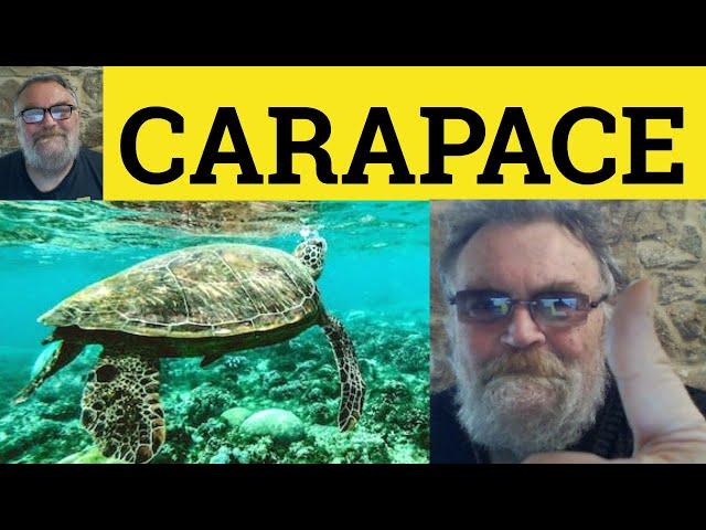  Carapace Meaning - Carapace Examples - Carapace Definition - Formal Vocabulary Carapace