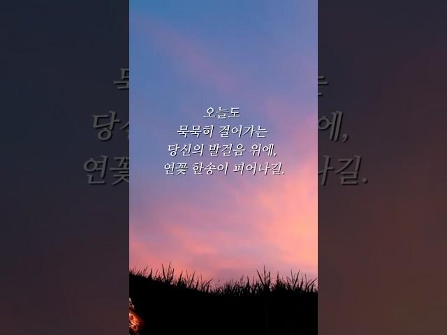 부처님의 가르침(견딘 마음에 연꽃이 핀다) #부처님말씀 #명언 #법문 #부처님
