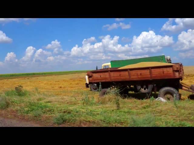 Село Вишневое Одесская область Одесса Вилково