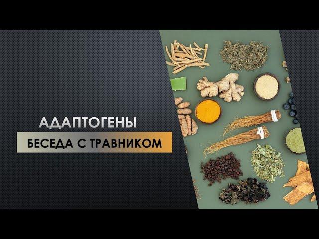 АДАПТОГЕНЫ - БЕСЕДА С ТРАВНИКОМ \ Умный Атлетизм - научный и духовный подход