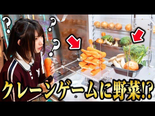 【えなこ】クレーンゲームの中に野菜や私物入っているドッキリ