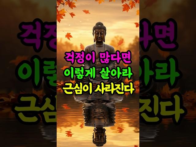 걱정 많은 삶, 이렇게 살아라 근심이 사라지느니라 #부처님말씀 #불교 #마음수행 #근심해소 #불안극복