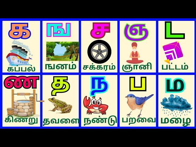 Uyireluthukkal/ Uyirmei Eluthukkal/உயிர்மெய் எழுத்துக்கள்/க ங ச/TamilAlphabets/@PEEKABOO!!