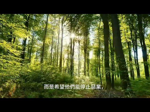 佛法治療吵架，AI上人慈悲開示，南無阿彌陀佛