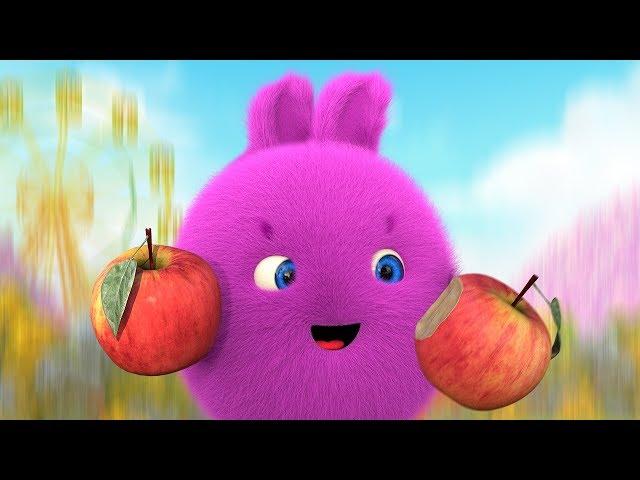 Cartoons for Children | SUNNY BUNNIES - DELICIOUS FRUIT | Funny Cartoons For Children