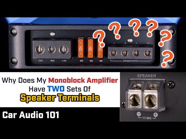 Your MONOBLOCK Amplifier has TWO SETS of Speaker Terminals - WHY???