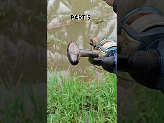 GK BERHENTI HENTI STREK TERUS ‼️ PART 5 #fishing #mancing #engler #masukberanda #funny