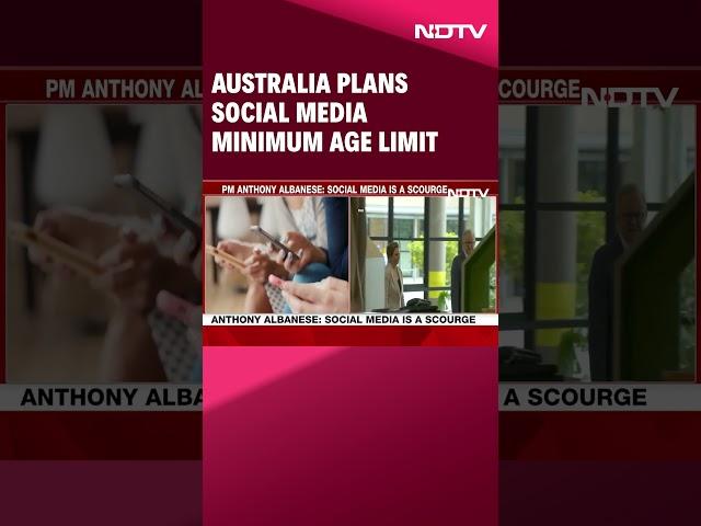 Australia News | Australia Plans Social Media Minimum Age Limit, Angering Youth Digital Advocates