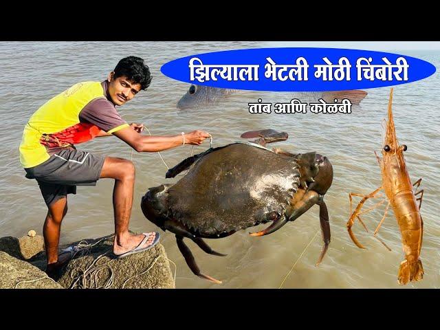 झिल्याला भेटली मोठी चिंबोरी आणि कोळंबी | तांब मासा Rod Fishing | karanja jetty | Mora jetty uran