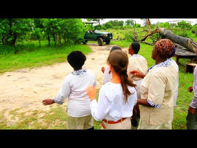 Songs of Safari | Great Plains Conservation