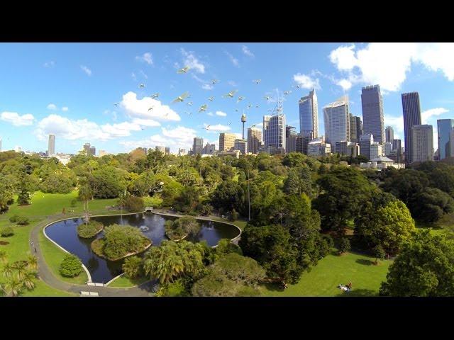 Majestic Sydney from above