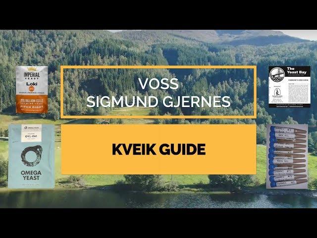 Voss Sigmund Gjernes Kveik Guide