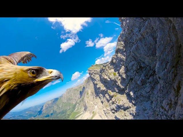 [10 Hours] Through an Eagle's Eyes in the Alps - Video & Audio [1080HD] SlowTV