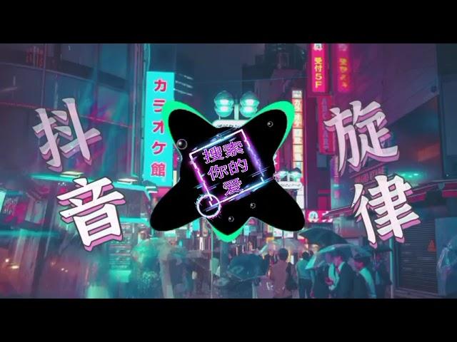 抖音2022最火动感旋律串烧