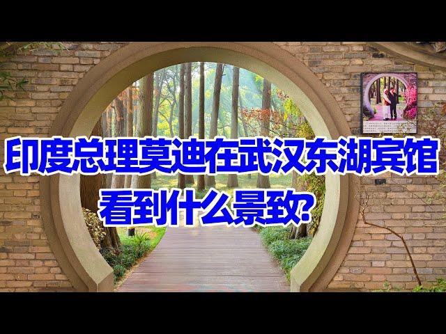 【回国旅居湖北52】印度总理莫迪在武汉东湖宾馆下榻时 看到什么景致/武汉东湖国宾馆/武汉酒店/武汉旅游/Wuhan East Lake Hotel/Wuhan Hotel/Wuhan Hubei