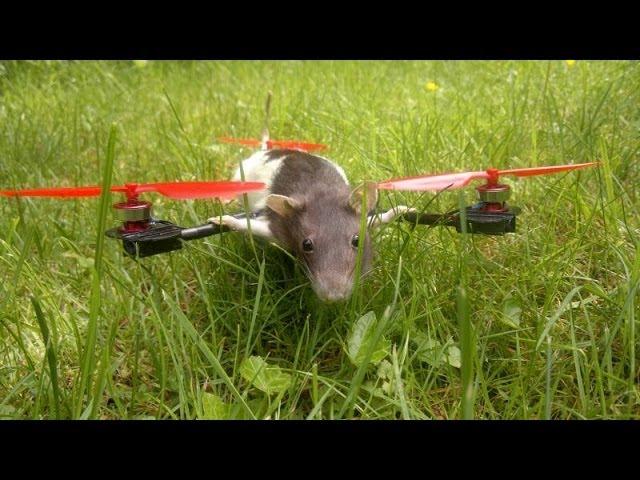 First flight Ratcopter