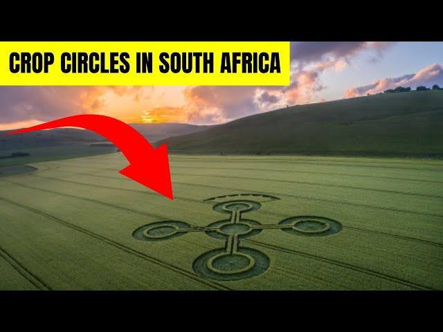 The Unexplained Patterns In Crop Circles In South Africa