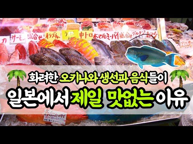 오키나와 생선과 음식이 ‘맛대가리없는’ 이유(Ep01_토마리 이유마치)