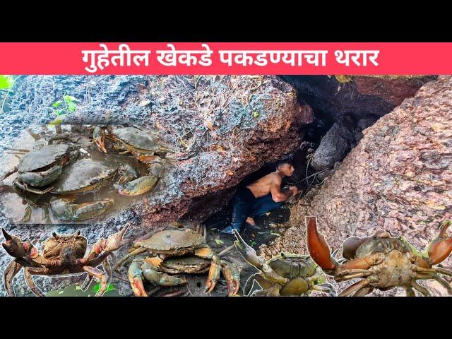 अबबब!!!! गुहेतील खेकडे पकडण्यासाठी आर्यनचे धाडस !!!  #crabs_catching | Konkan fishing