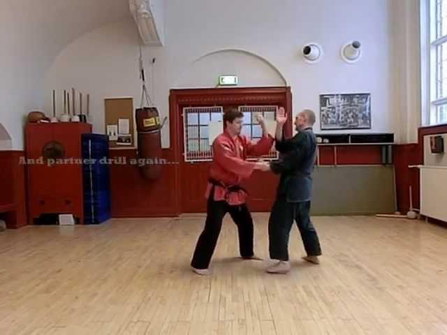 Heian Sandan Bunkai Flow Drill