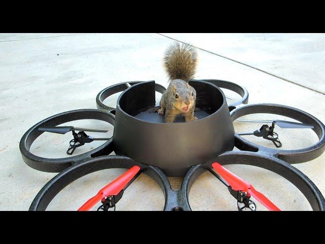 Squirrel Steals Drone