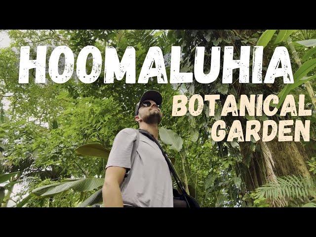 Hoomaluhia Botanical Gardens | East Side Oahu