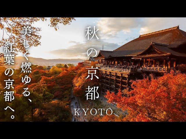 Sub) Travel to Kyoto in the best time Kyoto in autumn is the most beautiful ｜Japan