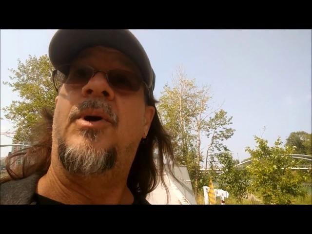 Hurtin Hippie Walkabouting - A Jay by the River under a Tree