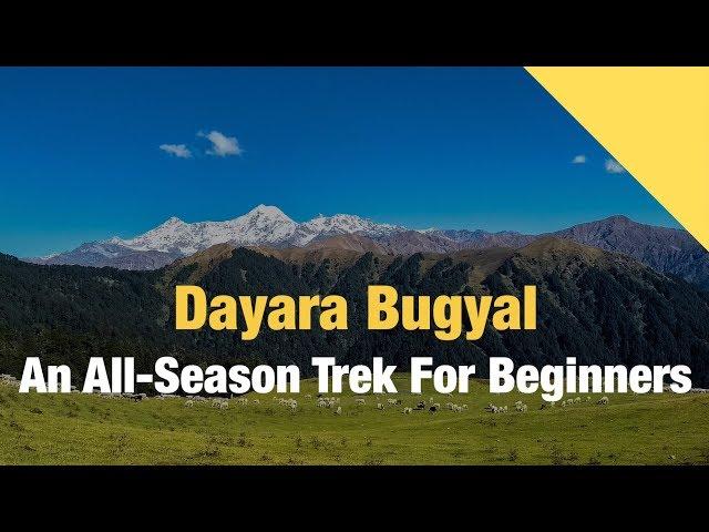 Dayara Bugyal, An All-Season Trek For Beginners | Indiahikes