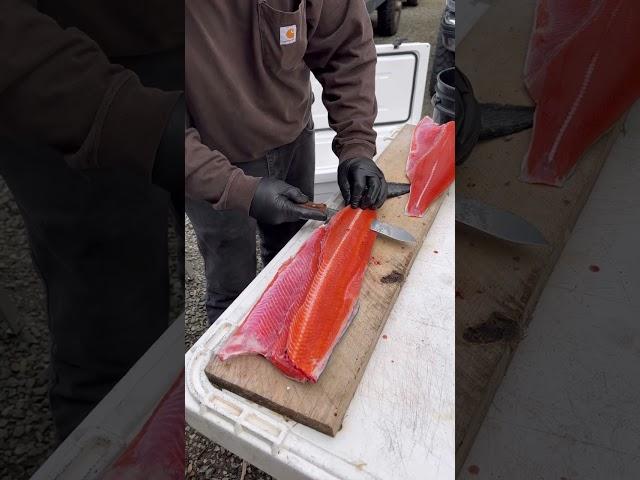 How we fillet king salmon