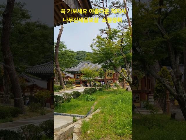 #직지사 #나무관세음보살 #소원성취 #korea #travel