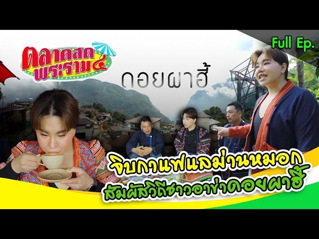 ไทยหนาวแล้ว!!! เที่ยวจิบกาแฟแลม่ายหมอก "ดอยผาฮี้“ | ตลาดสดพระราม๔ (Full) 16 พ.ย. 67