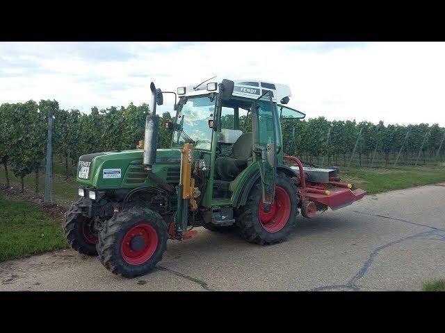 Mulchen mit Fendt 208V l [1080p]