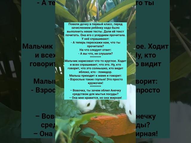 ПОДБОРКА АНЕКДОТОВ ПРО ДЕТЕЙ #анекдоты #Юмор #История #Жизнь #Анекдот #Прикол #США