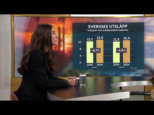 Pourmokhtari: ”Bilden att allt går åt helvete stämmer inte” | Nyhetsmorgon | TV4 & TV4 Play