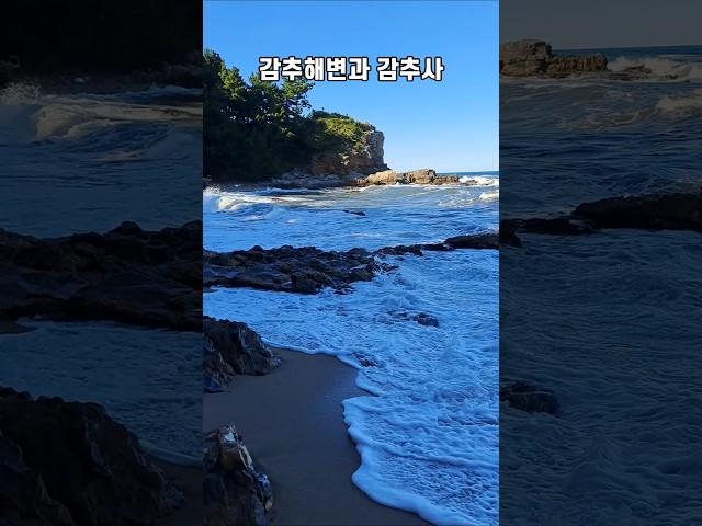 감추해변과 감추사 #shorts #감추사 #감추해변 #해변 #beach #동해여행 #시티투어버스 #korea