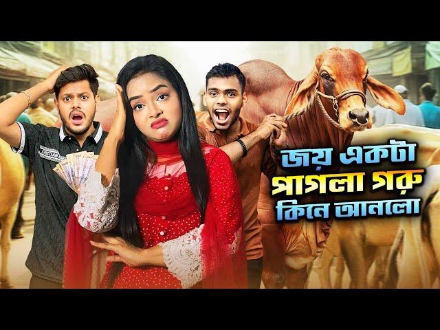 জয় একটা পাগলা গরু কিনে আনলো | QURBANI VLOG | Borna Hossain | Rakib Hossain