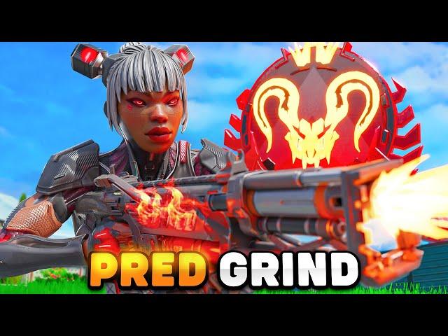 The Rank 1 Pred Grind Starts Again // Apex Legends