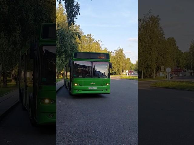 МАЗ-105Респект водителю!#maz #automobile #liaz