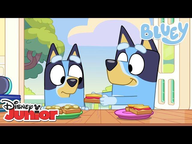 Sihirli Anılar | Bluey | Disney Türkiye