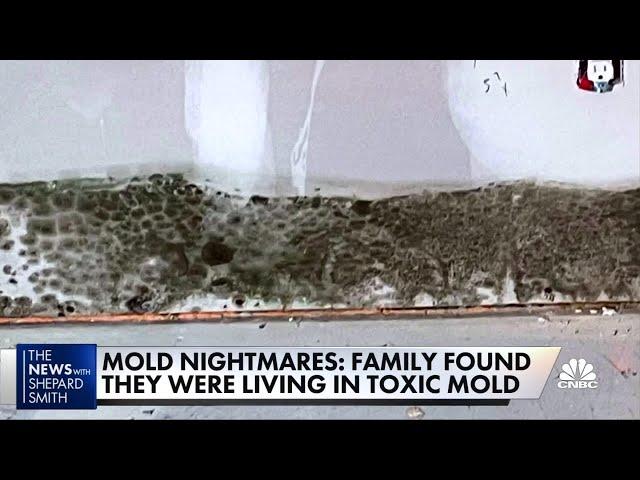 Toxic mold devastates family, causes myriad health problems