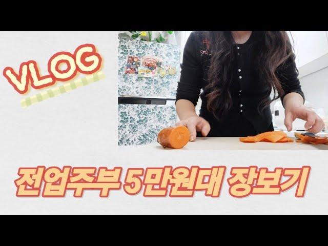 (  경기도 집노비 VLOG ) 5만원대 장보기 | 반짝반짝 집청소 | 정리정돈 | 식비절약 | 요리 | 전업주부 브이로그 |