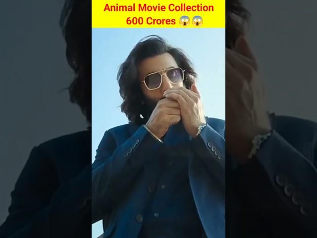 Animal movie worldwide Collection 600 crores #shorts #ytshorts