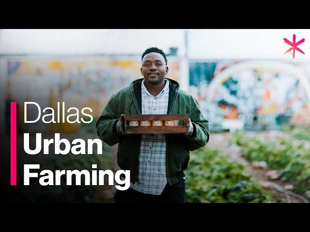 How Urban Farming Saved a Dallas Community